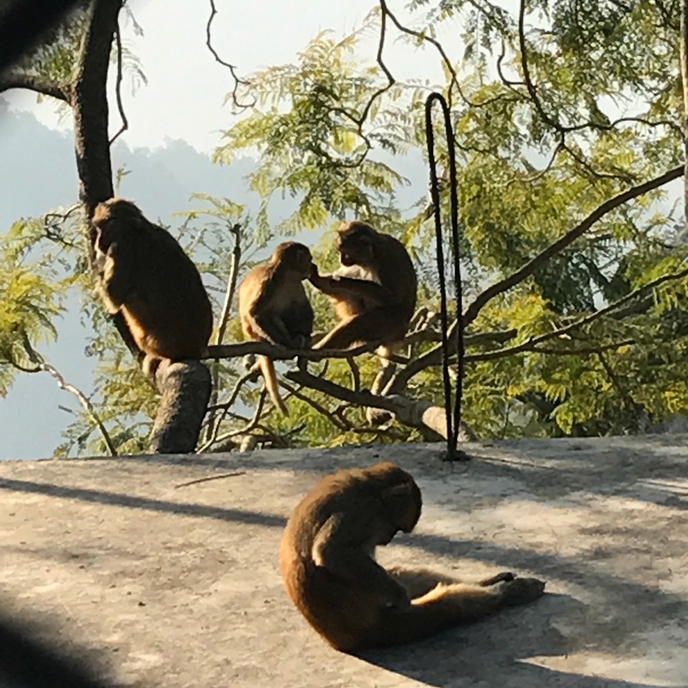 в α c к  froм ιи∂ια 🇮🇳 - Picture 7 of 8